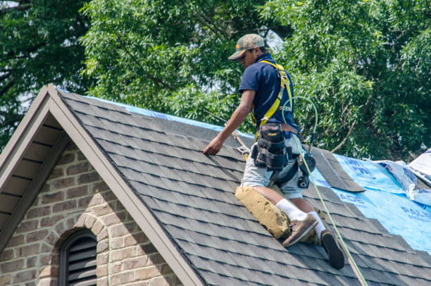 Quick and Trustworthy Emergency Roof Repair Services in Sand Lake, MI